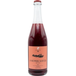 "The American" Zelenytsi red dry ordinary table varietal wine 0.75 "Американець" Зелениці вино червоне сухе ординарне столове сортове 0,75